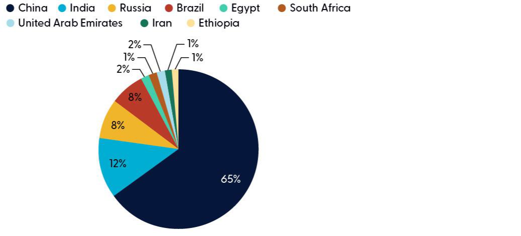 New BRICS members finalize membership in the bloc
